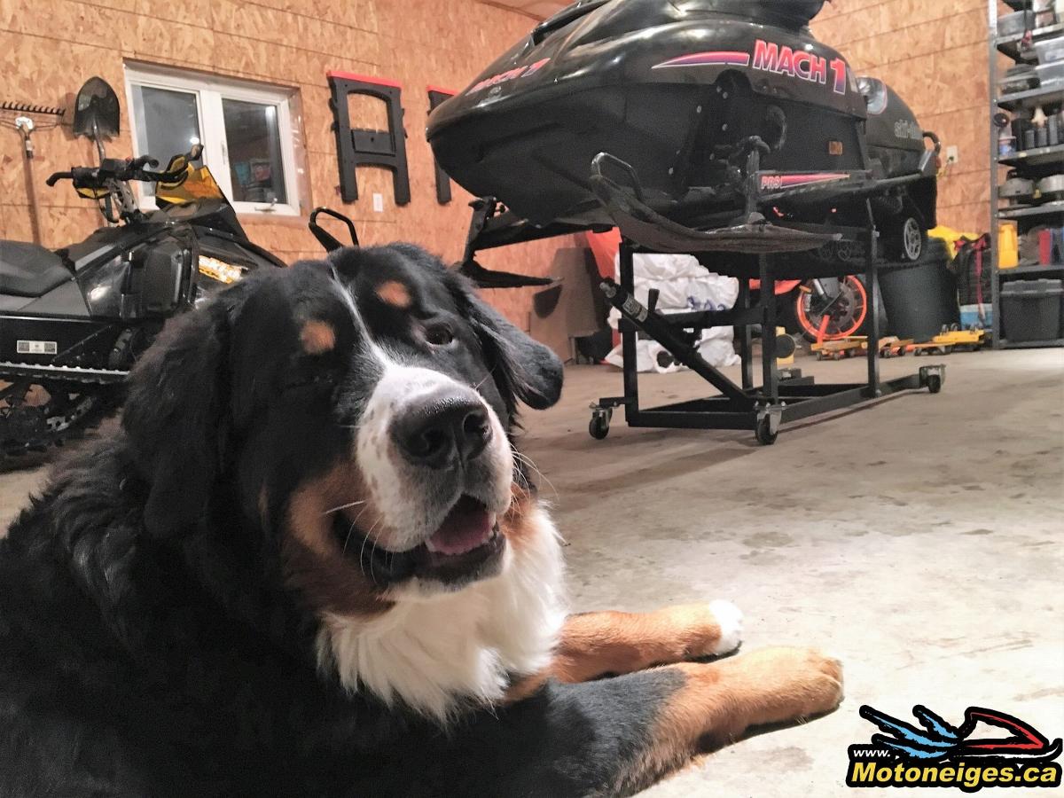 A Rebuild by Sledmagazine.com - Part 4 : 2 small skis, a lot of welding and a little powdercoat! -snowmobiles - snowmobilers A Rebuild by Sledmagazine.com - Part 4 : 2 small skis, a lot of welding and a little powdercoat! -snowmobiles - snowmobilers